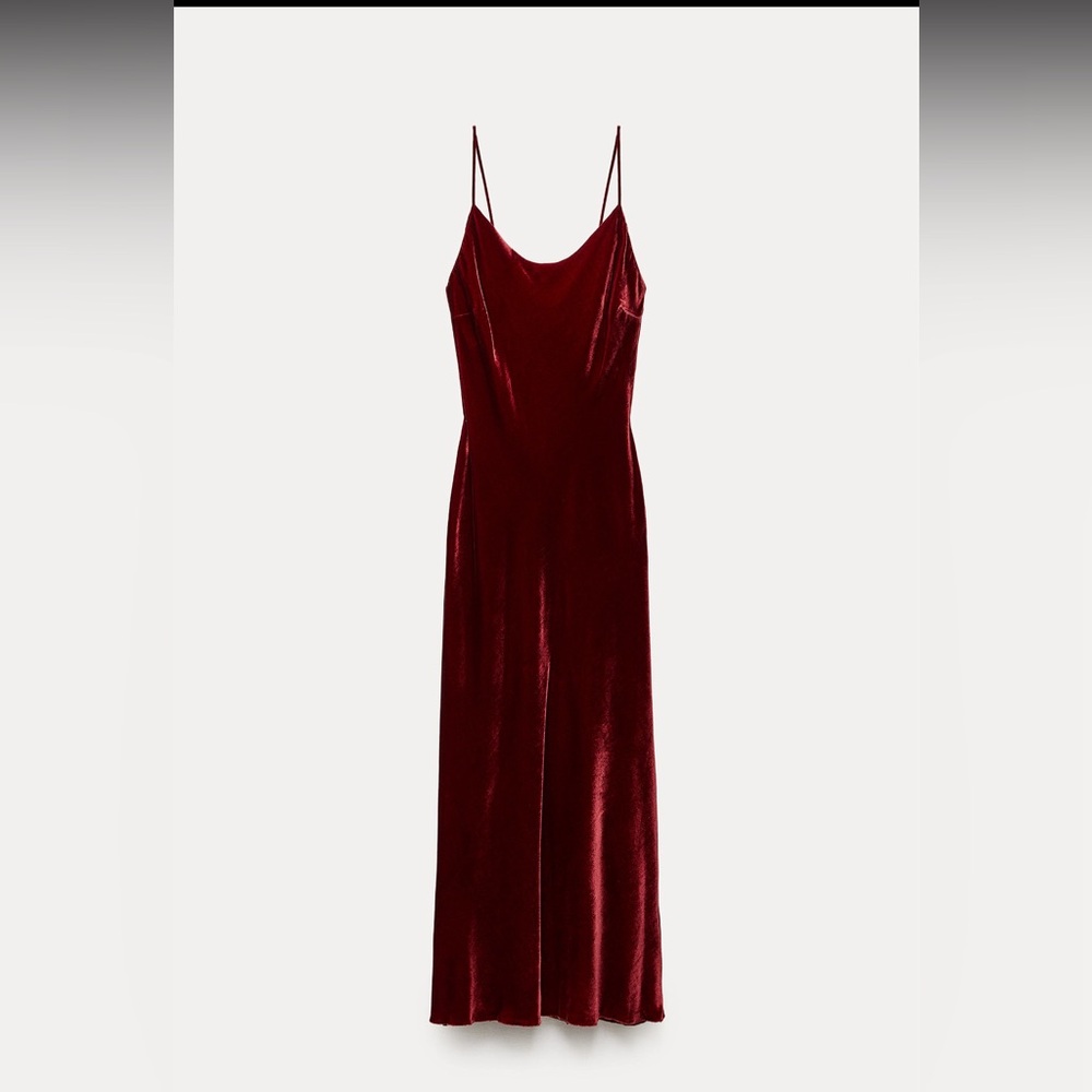 Zara velvet midi dress